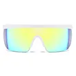 2019 Large Frame Windproof Sunglasses