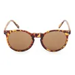 Brown Lens Sunglasses