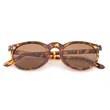 Brown Lens Sunglasses