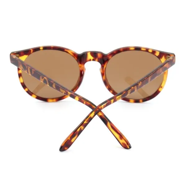 Brown Lens Sunglasses