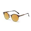 Designer Half Frame Polarized Sunglasses