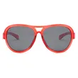 Double Bridge Plastic Sunglasses