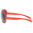 Double Bridge Plastic Sunglasses