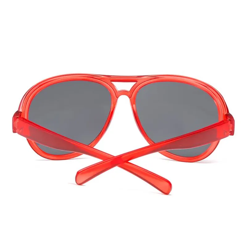 Double Bridge Plastic Sunglasses