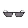 Eyebrow Sunglasses Small Frame