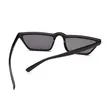Eyebrow Sunglasses Small Frame