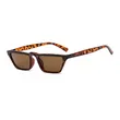 Eyebrow Sunglasses Small Frame