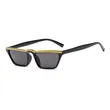 Eyebrow Sunglasses Small Frame