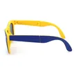 Folding Sunglasses