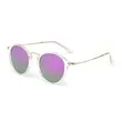 Horn Rimmed Sunglasses