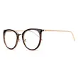 Metal Arms Eyeglasses