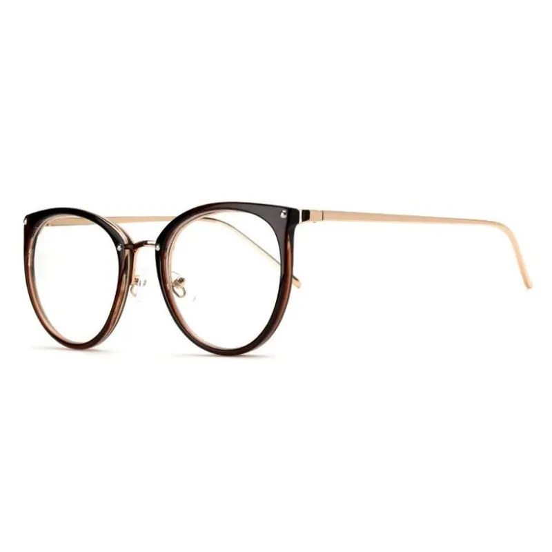 Metal Arms Eyeglasses