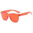 One Piece Plastic Sunglasses