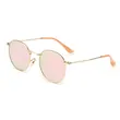 Pink Lens Metal Sun Shades