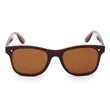 Plastic Sunglasses UV Protection