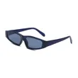 Polarized Plastic Sunglasses