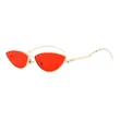 Small Cat Eye Sunglasses