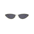 Small Cat Eye Sunglasses