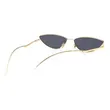 Small Cat Eye Sunglasses