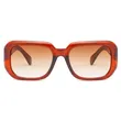 Square Plastic Sunglasses