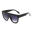 Thick Frame Plastic Sunglasses