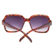 Tortoise Plastic Sunglasses