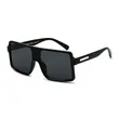 Unisex Large Frame Sunglasses