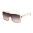 Unisex Large Frame Sunglasses