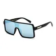 Unisex Large Frame Sunglasses