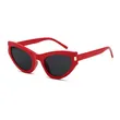 White Frame PC Sunglasses