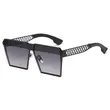 Womens Trendy Sunglasses