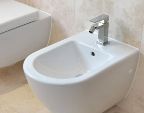 Sanitary ware Ceramic Bidet explainations