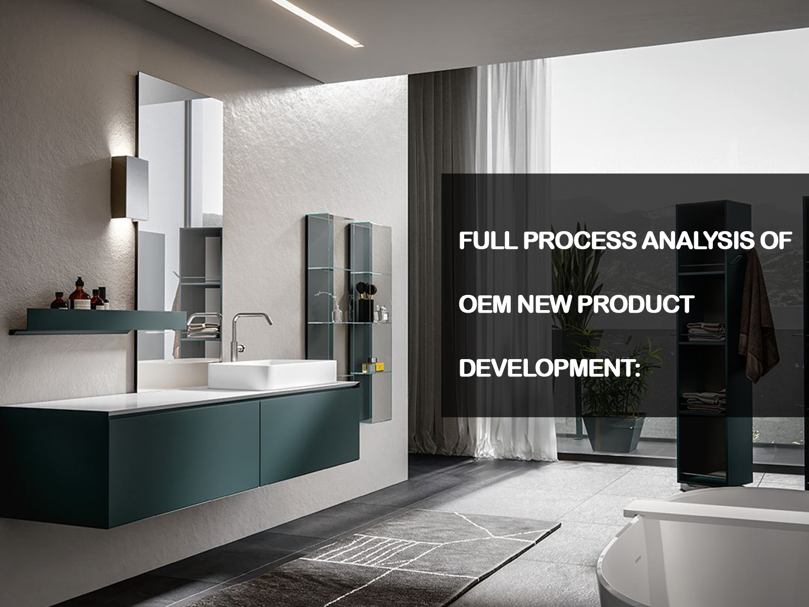 Full Process Analysis of OEM New Product Development