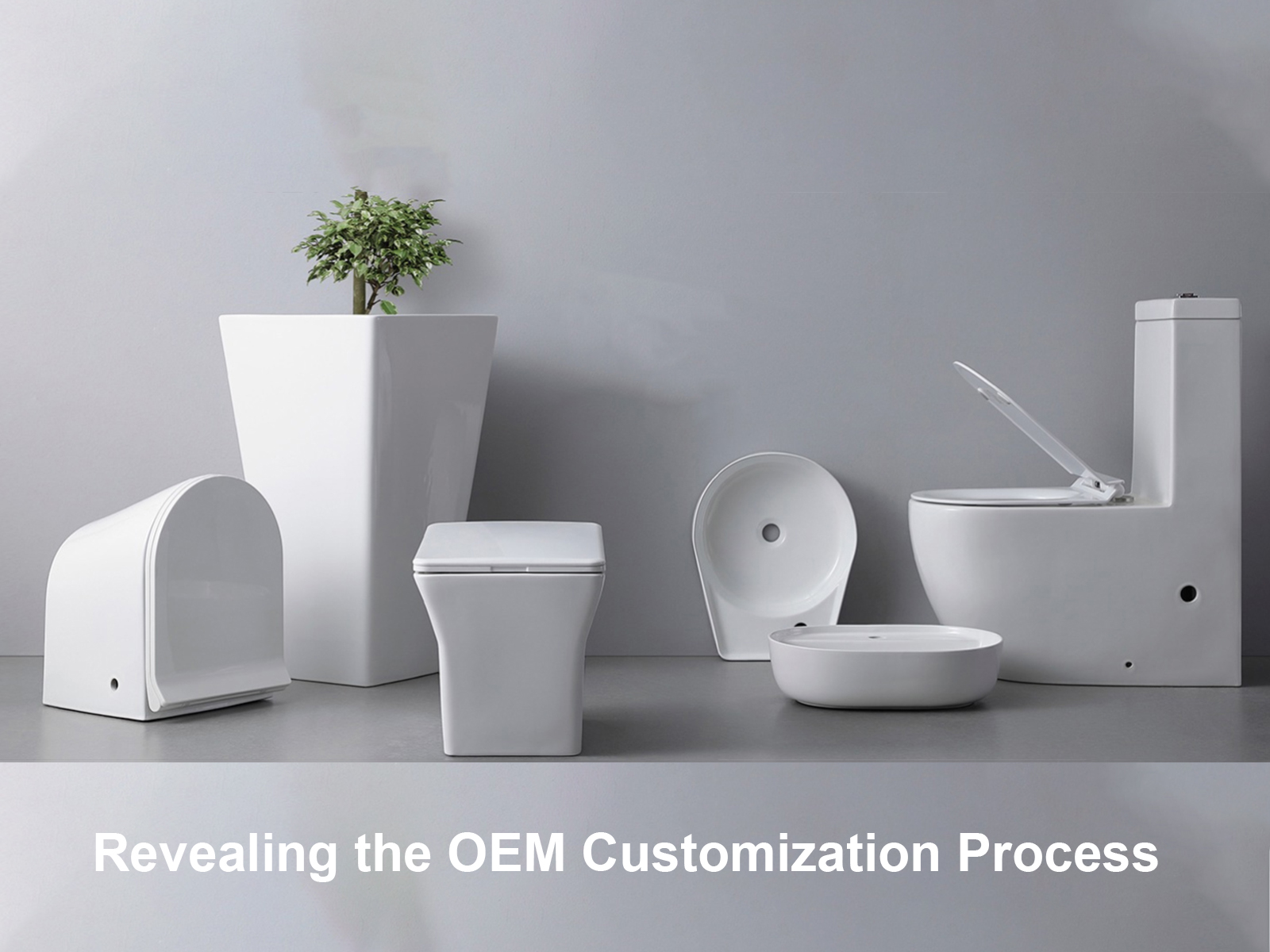 Revealing the OEM Customization Process