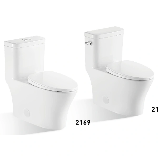Luxury One Piece Toilet