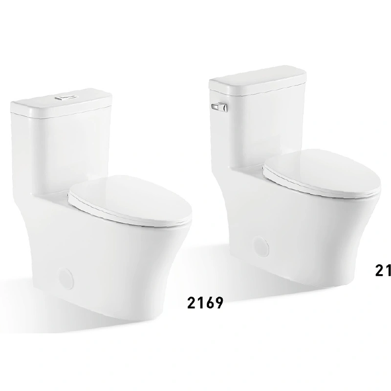 Luxury One Piece Toilet