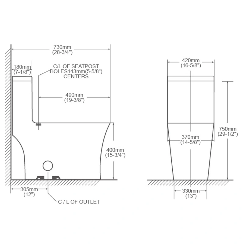 Luxury One Piece Toilet