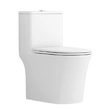 Skirted One-piece toilet