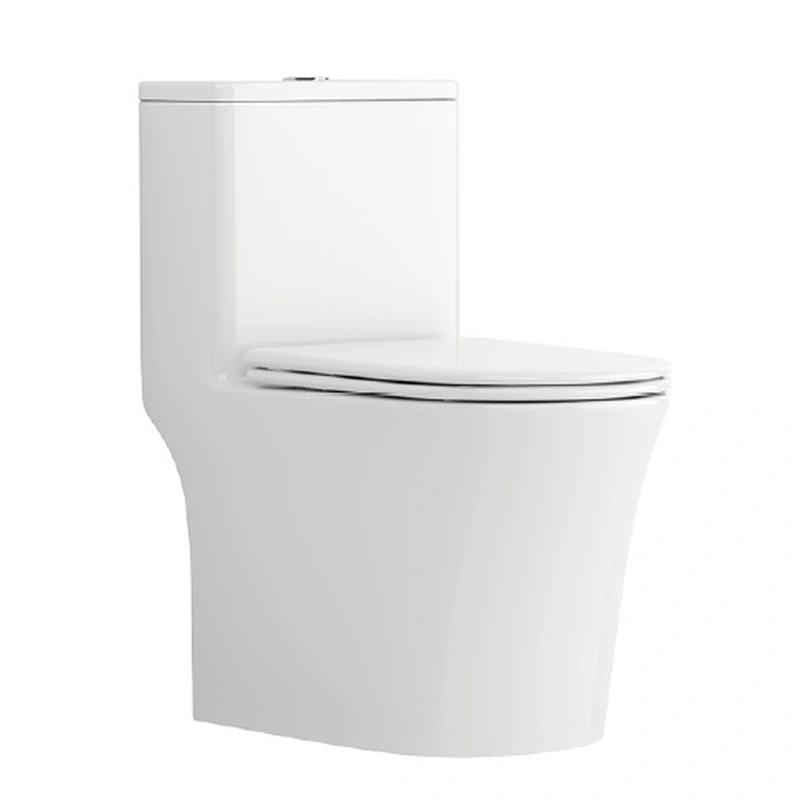 Skirted One-piece toilet