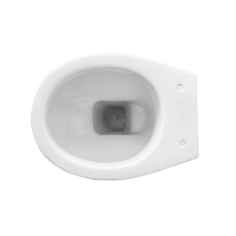 White Ceramic Floor Standing BTW Toilet