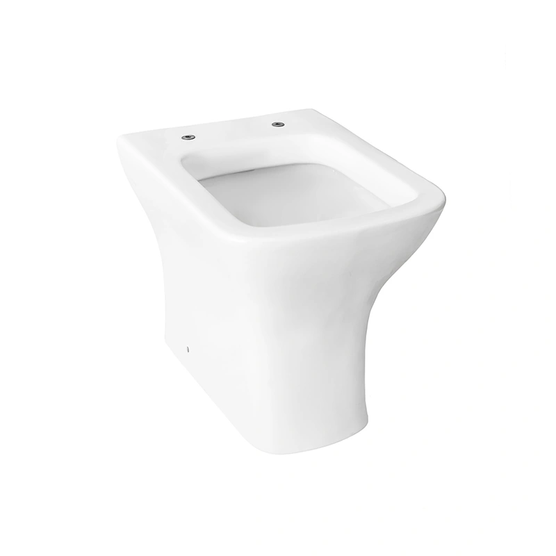 One Piece European Back To Wall Toilet with P-trap