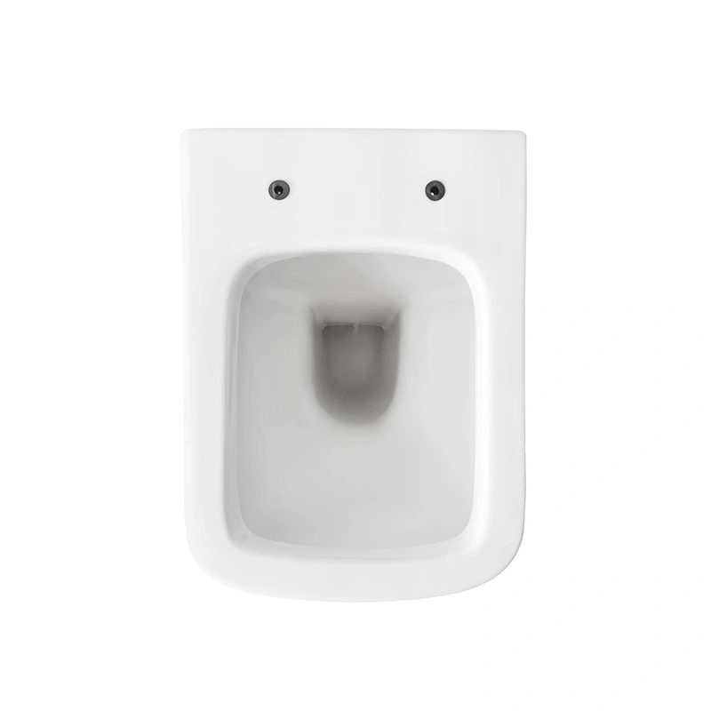 One Piece European Back To Wall Toilet with P-trap