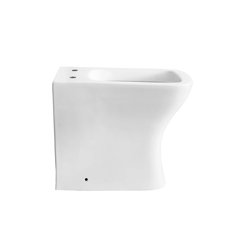 One Piece European Back To Wall Toilet with P-trap