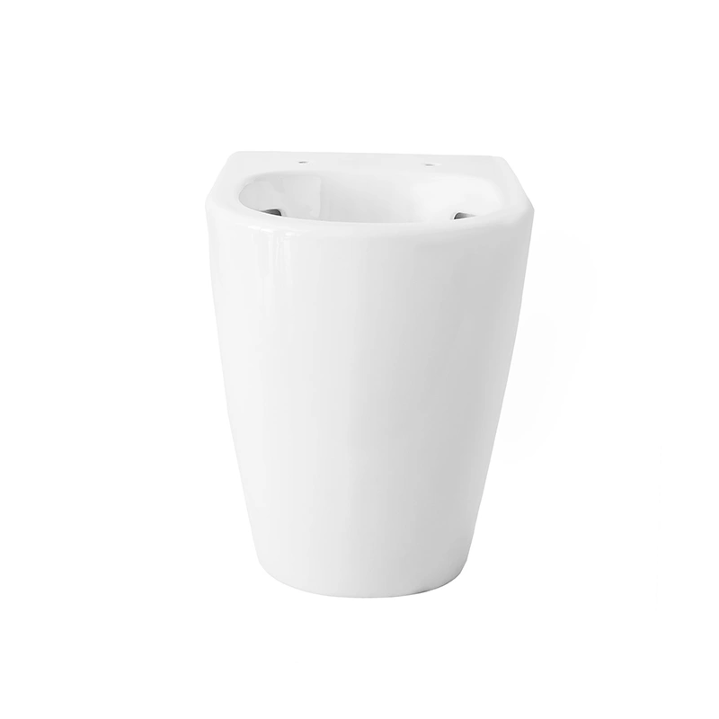 Flush back to wall toilet