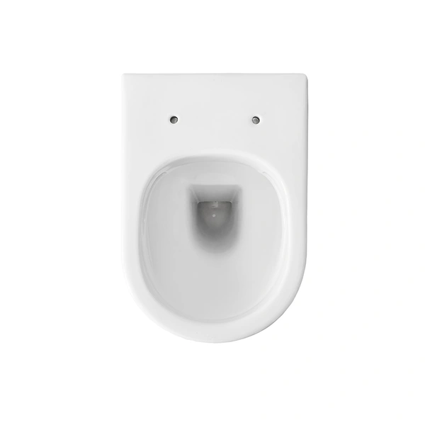 Flush back to wall toilet