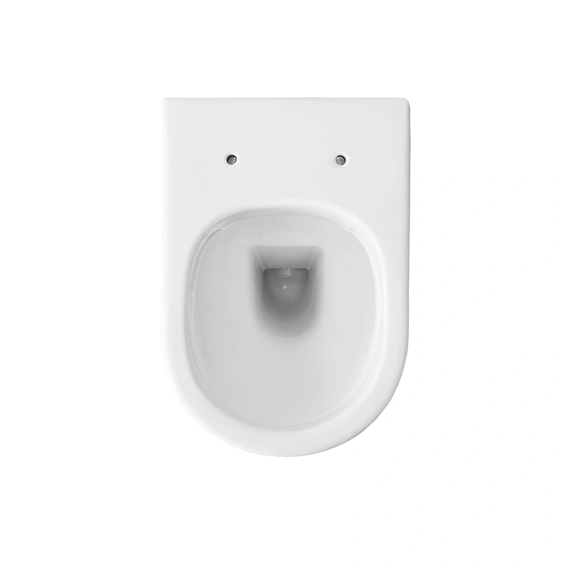 Flush back to wall toilet