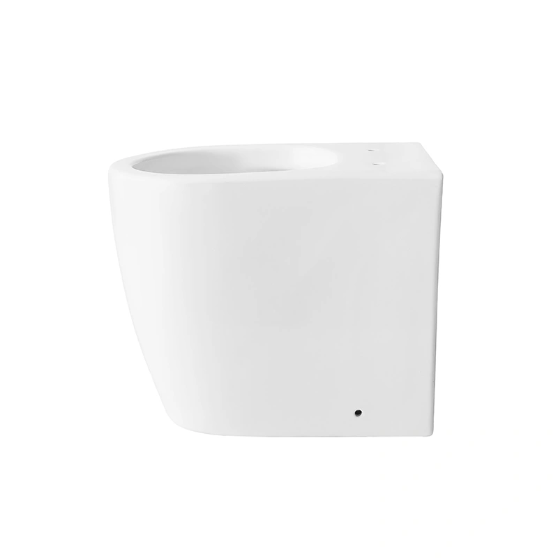Flush back to wall toilet