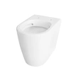 Flush back to wall toilet