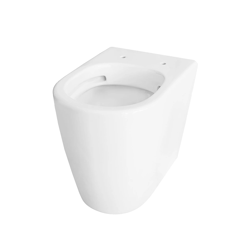 Flush back to wall toilet