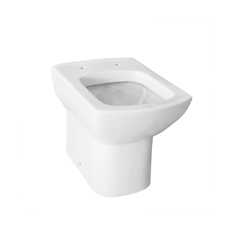 Toilet Manufacturers European  Back To Wall WC pan